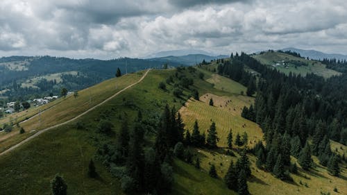 Imagine de stoc gratuită din acoperit de nori, arbori, deal