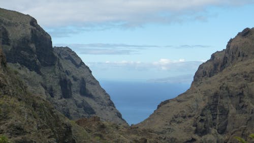 Foto profissional grátis de teneriffa