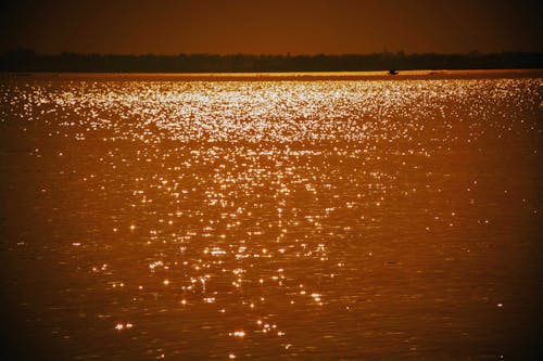 Free stock photo of bengal, dusk, glittering