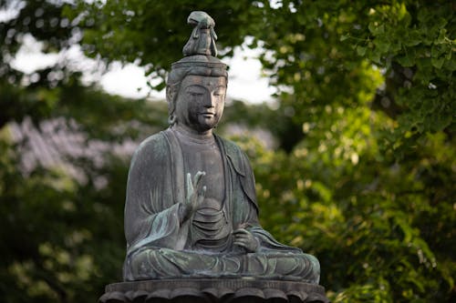 Statua Del Buddha Vicino Agli Alberi