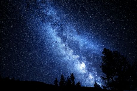 The Milky Way over a forest horizon, photo by Nicolas Outin on Pexels