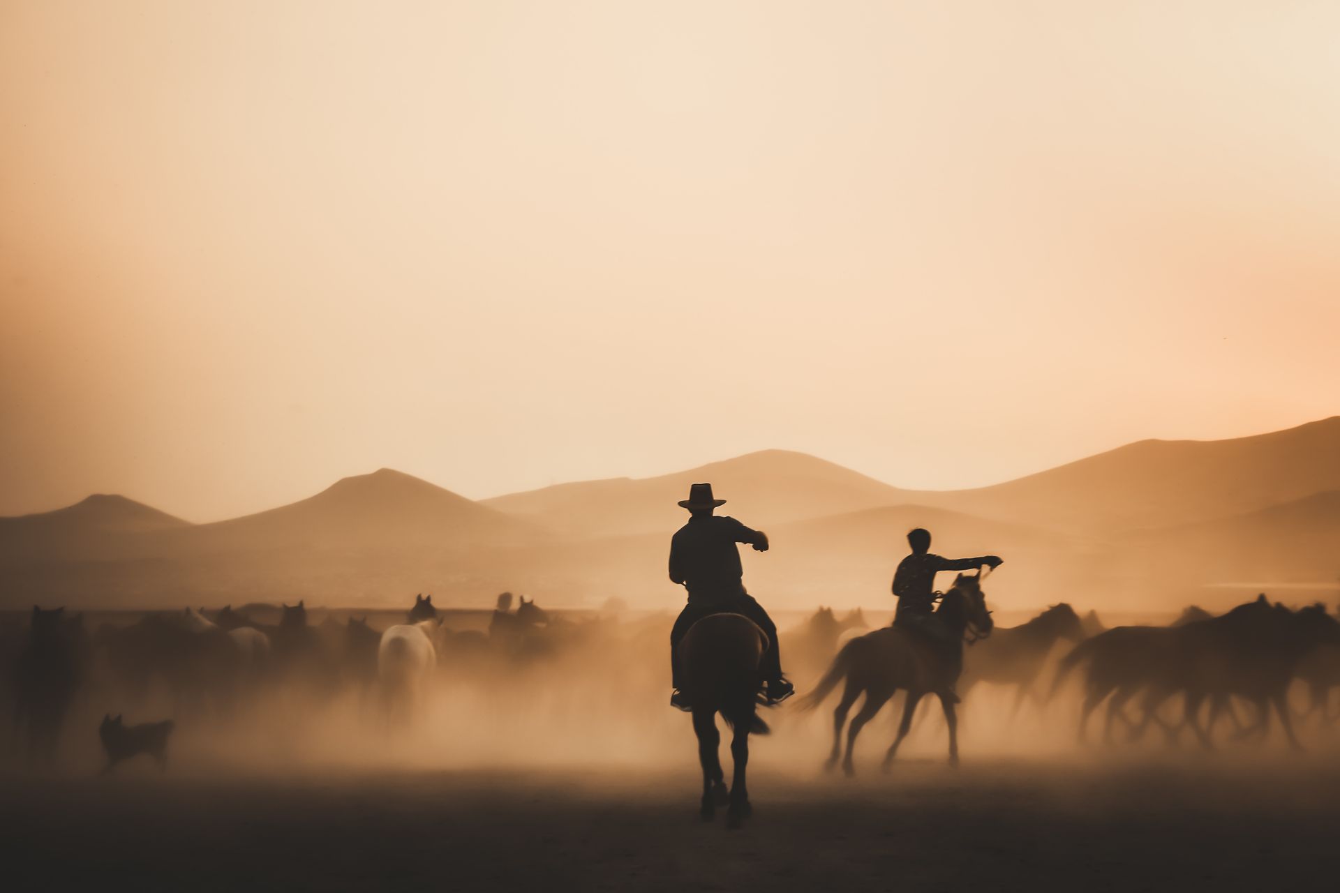 Cowboys with Horses Herd