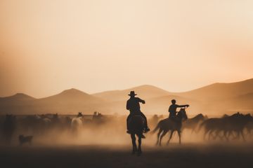Silhouetted cowboys herding horses across a desert — photo by Zeynep Seçer on Pexels