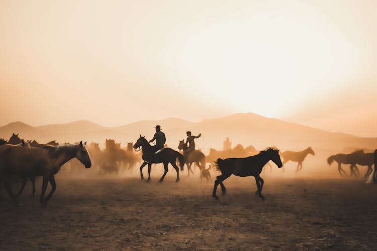 Sunlight Over Cowboys And Horses Herd