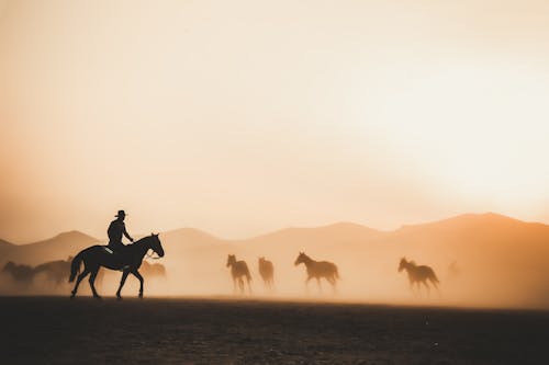 Sunlight over Cowboy and Horses Herd