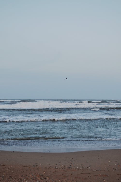 Photos gratuites de bord de mer, ciel, étendue d'eau