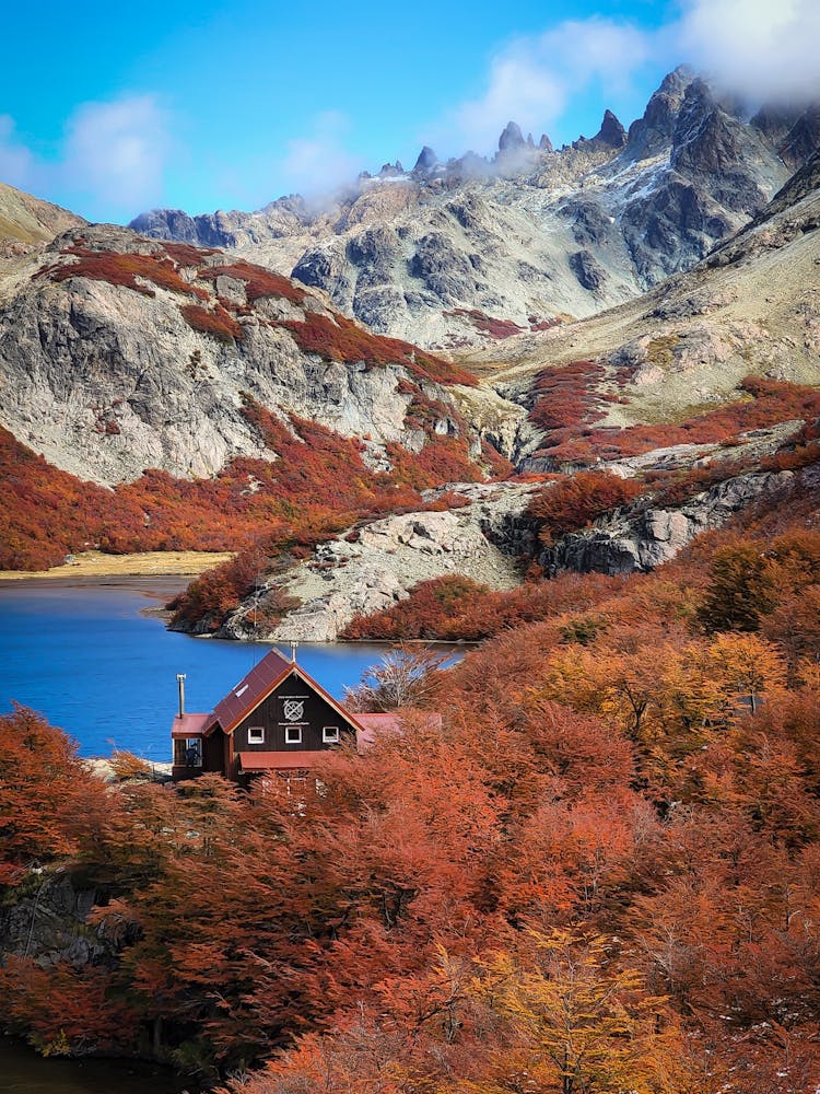 Scenic Autumn Landscape 