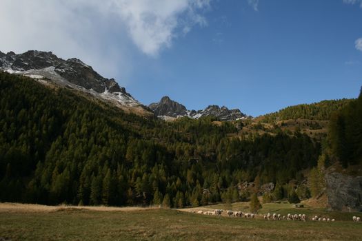 Val d'Oise