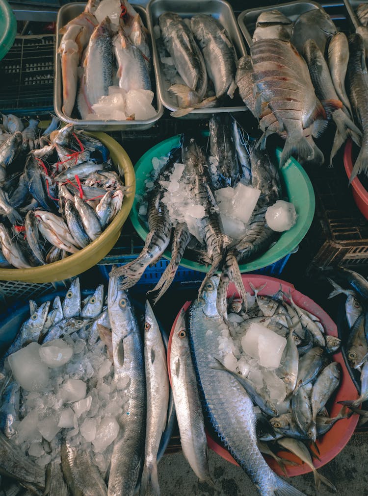 Fish On Plastic Basins In The Market