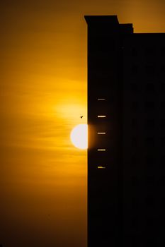 Silhouette of a building against a vivid yellow sunset in India, with bird in flight.