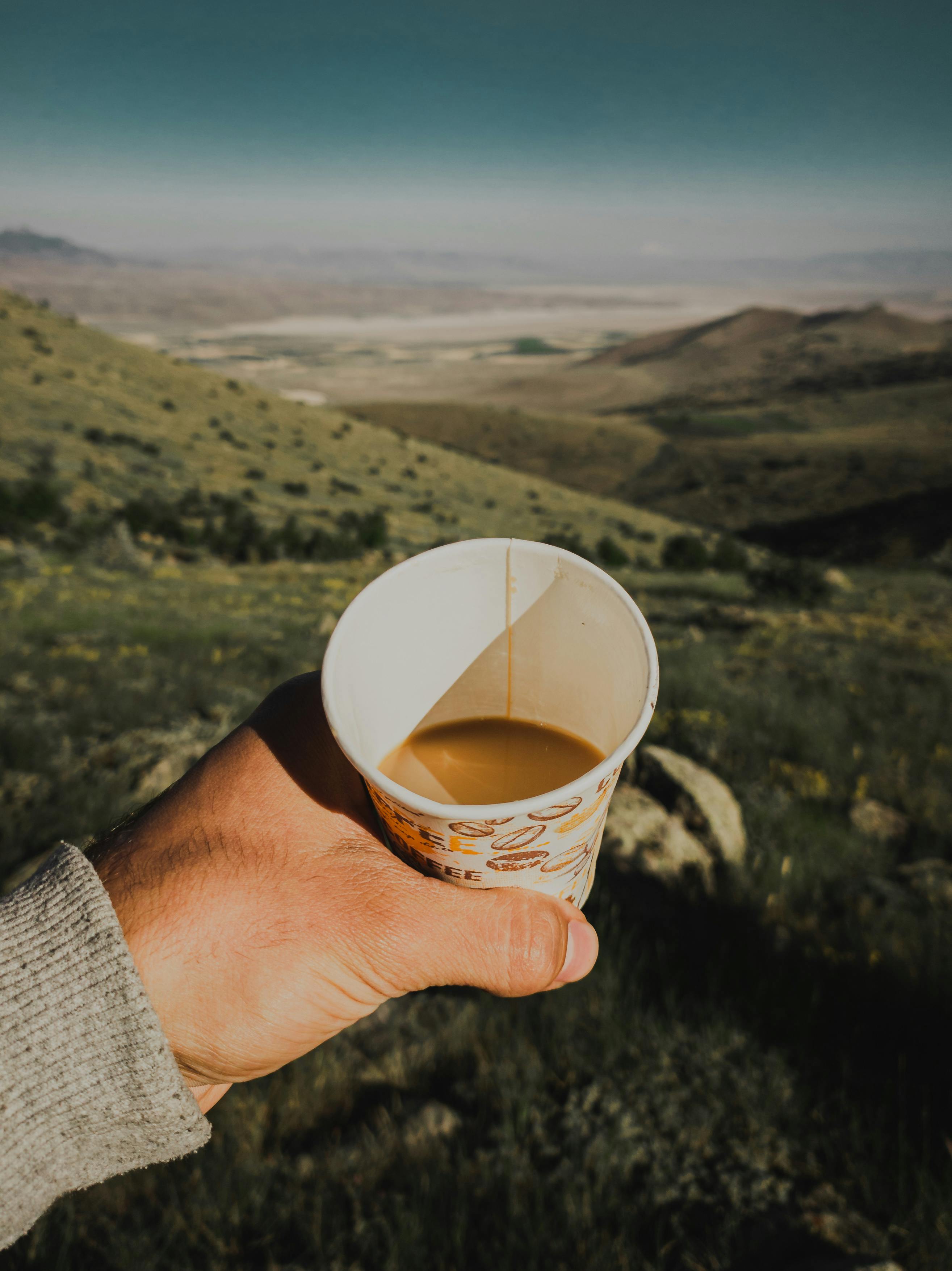 Photo of Person Holding a Paper Cup · Free Stock Photo