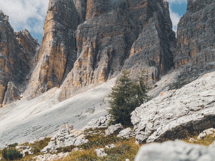 Photo by Timo Scheiler