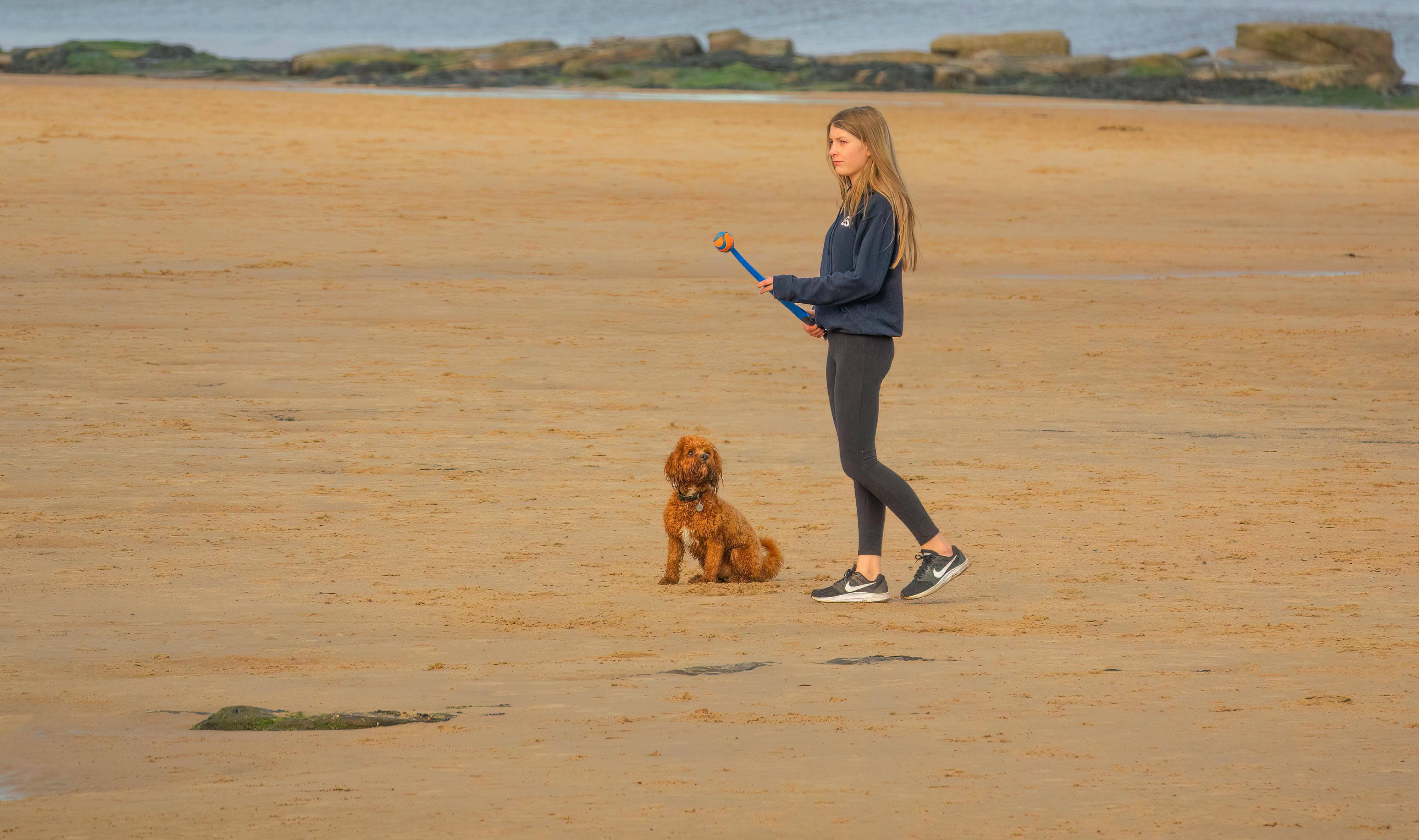 woman in blue jacket and black pants standing on brown sand beside brown dog