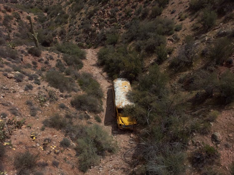 Yellow And White Bus On Brown Sand