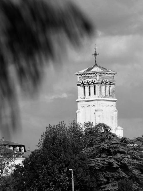 Immagine gratuita di albero, bianco e nero, cattedrale