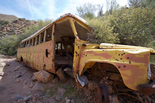 Fotos de stock gratuitas de abandonado, amarillo, arbustos