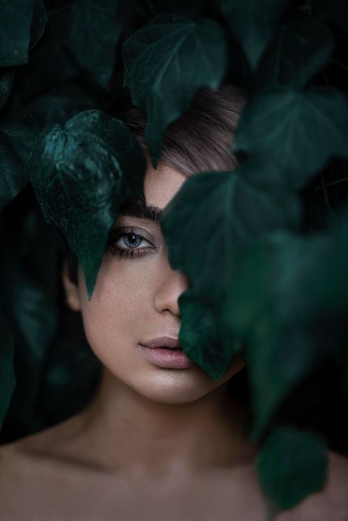 Free Intimate portrait of a woman partially hidden by dark green leaves, conveying mystery and elegance. Stock Photo