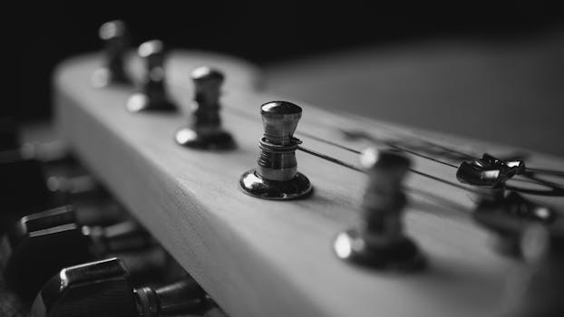Black and white close-up of guitar headstock with tuning pegs.