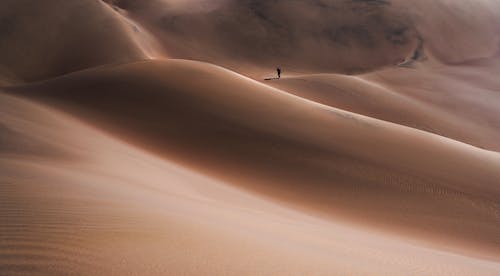 Безкоштовне стокове фото на тему «пісок, піщані дюни, пустеля» стокове фото