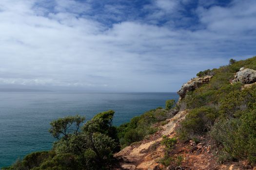 Peaceful coastal scene with a rocky cliff, lush greenery, and vibrant ocean waters under a blue sky.