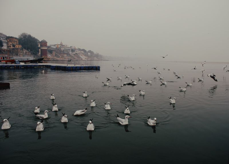 Ganges & Ramayana Spiritual Circuit Mobile Gallery 3