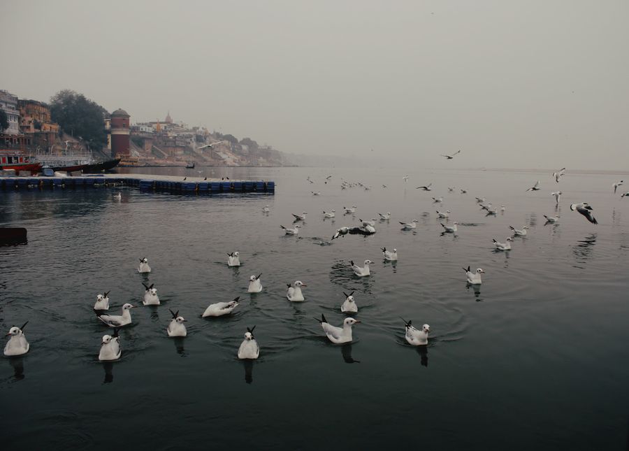 Adi Ganga Canal Front photo 2