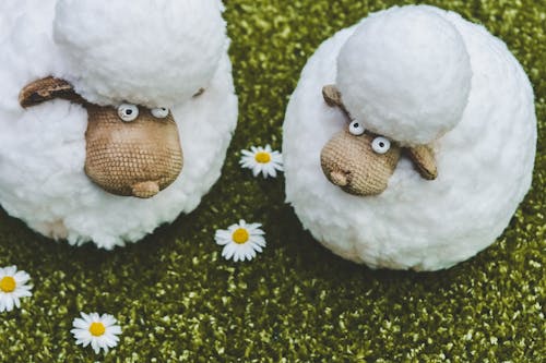 Photo of Sheep Toys Near White Flowers