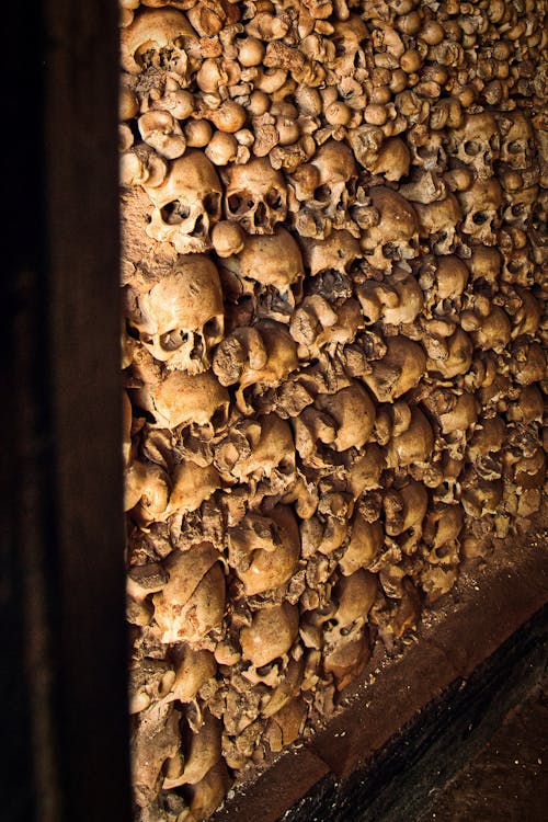 Wall of skulls
