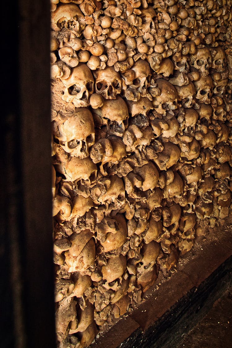 Wall Of Skulls