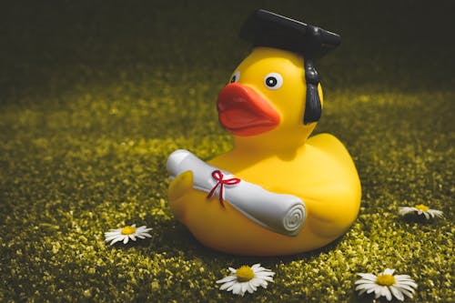 Yellow Rubber Duck on Green Grass