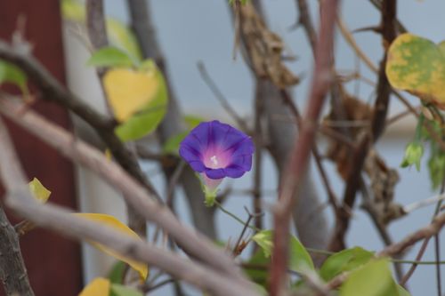 Free Manual Mode Stock Photo
