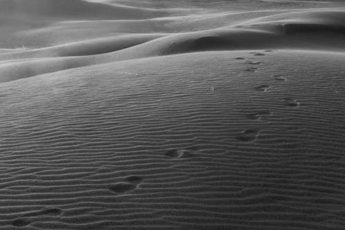 Grayscale Photo of Sand Dunes