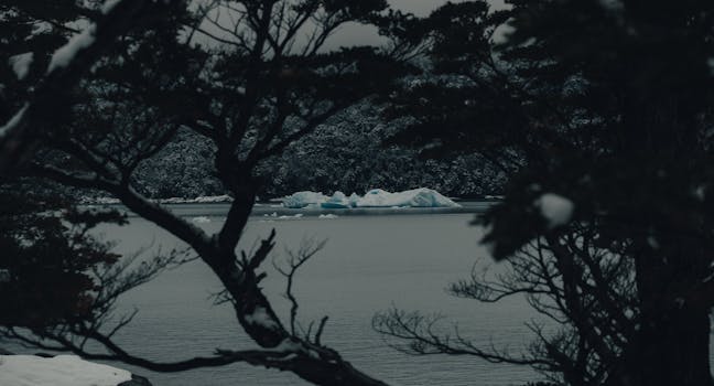 Beautiful winter landscape with snow-covered trees and icy lake view, framed by tree branches.