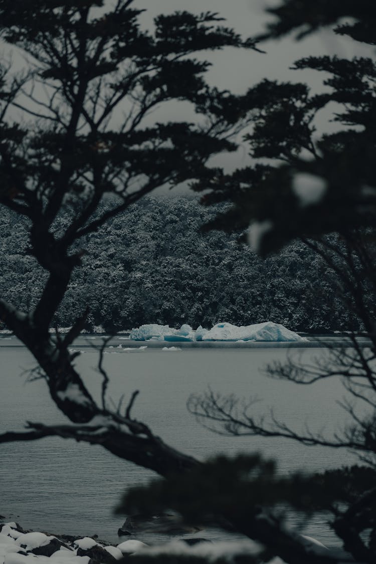 Lake In Winter