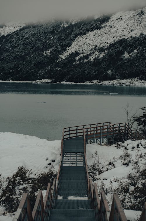 Foto stok gratis alam, danau, dingin