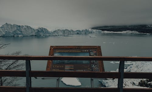 감기, 로스 빙하 국립 공원, 바다의 무료 스톡 사진