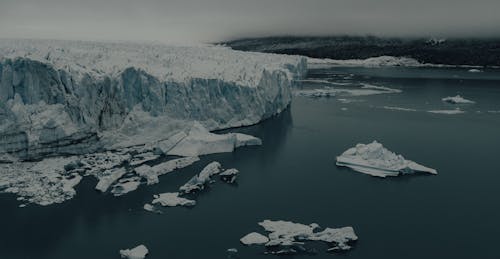 Gratis lagerfoto af Antarktis, arktisk, ekstremt terræn