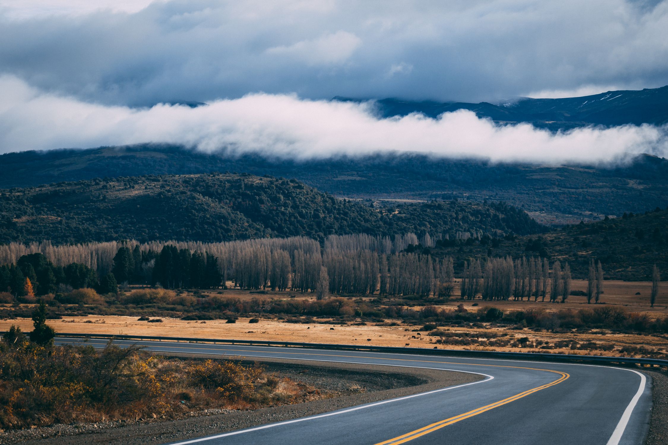 A winding road in Bariloche, Argentina, with dramatic clouds over lush hills and trees.
