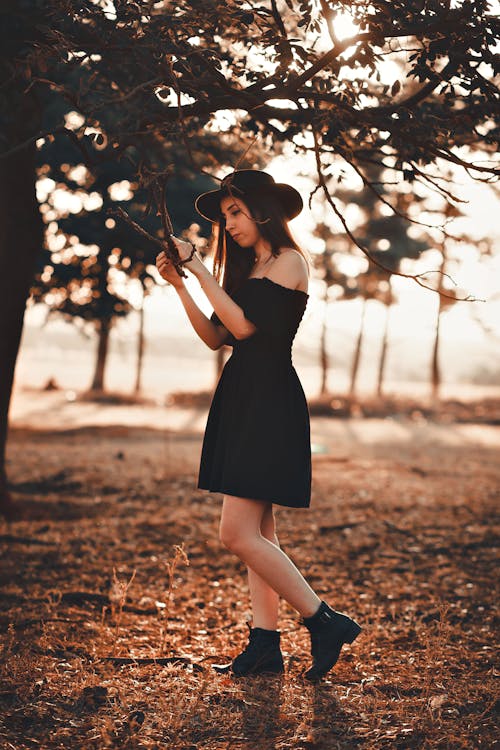 A Woman in Black Off Shoulder Dress Under the Tree
