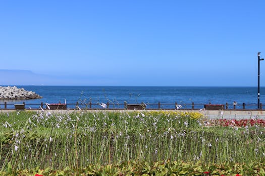 Tranquil seaside scene with blue sky, ocean, and vibrant flower beds.