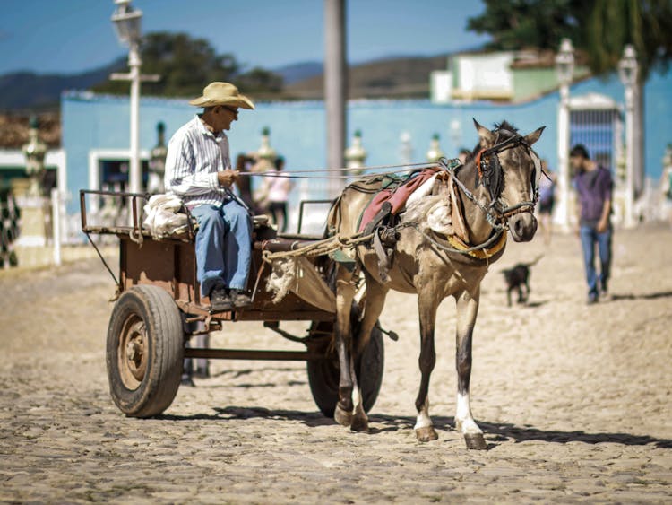 Man On A Horse Carriage