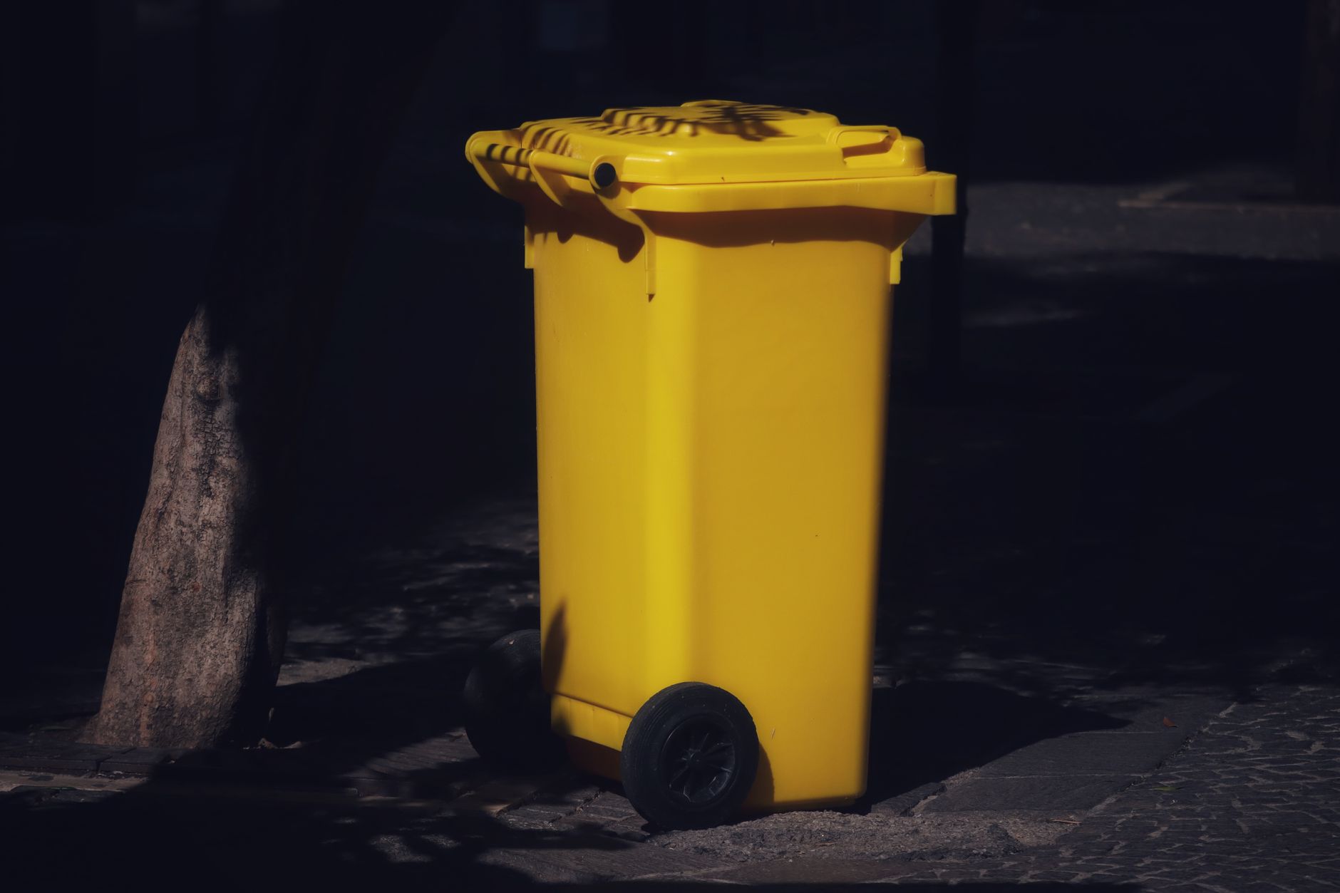 Wheelie Bin Cleaning