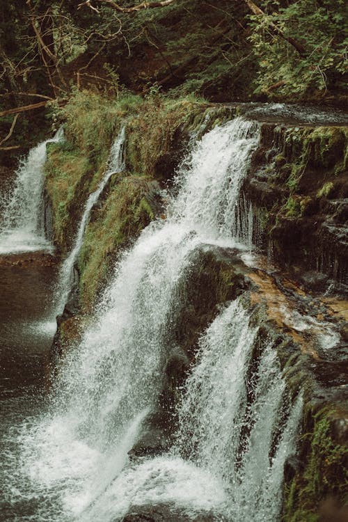 Foto profissional grátis de ao ar livre, cachoeiras, corrente