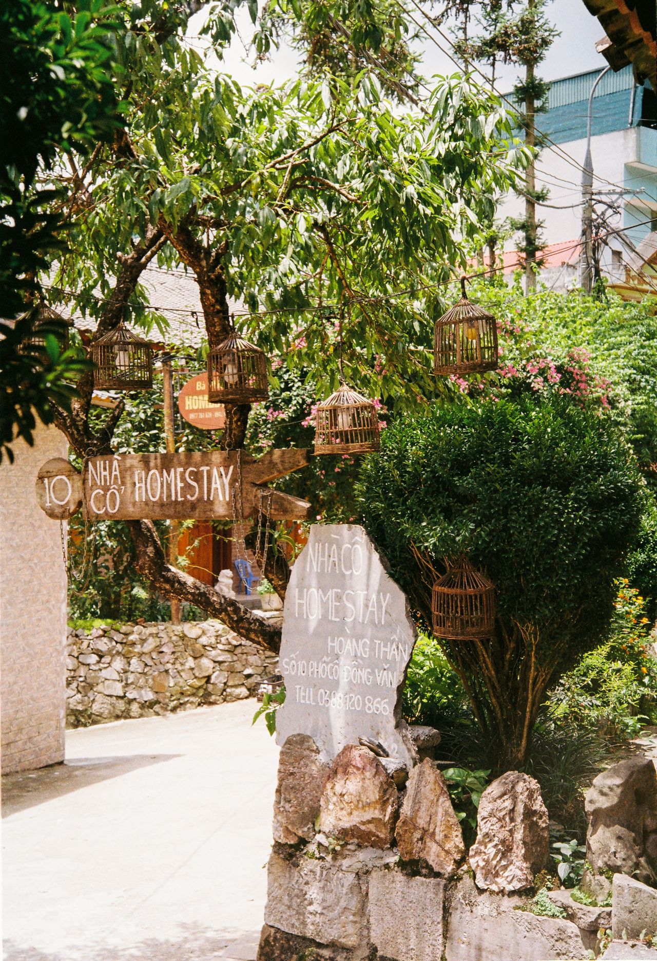 Lối vào homestay nhiều cây xanh