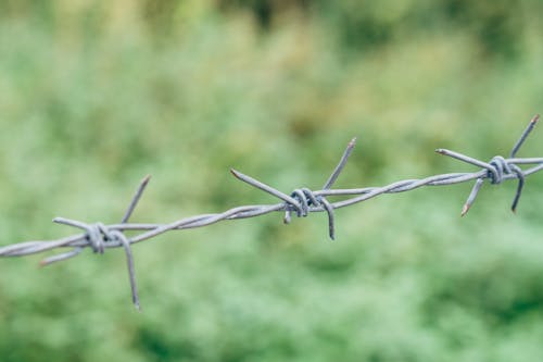 Gray Barb Wire in Close Up Photography