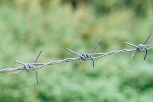 Detailed image of barbed wire against a soft, blurred green backdrop.
