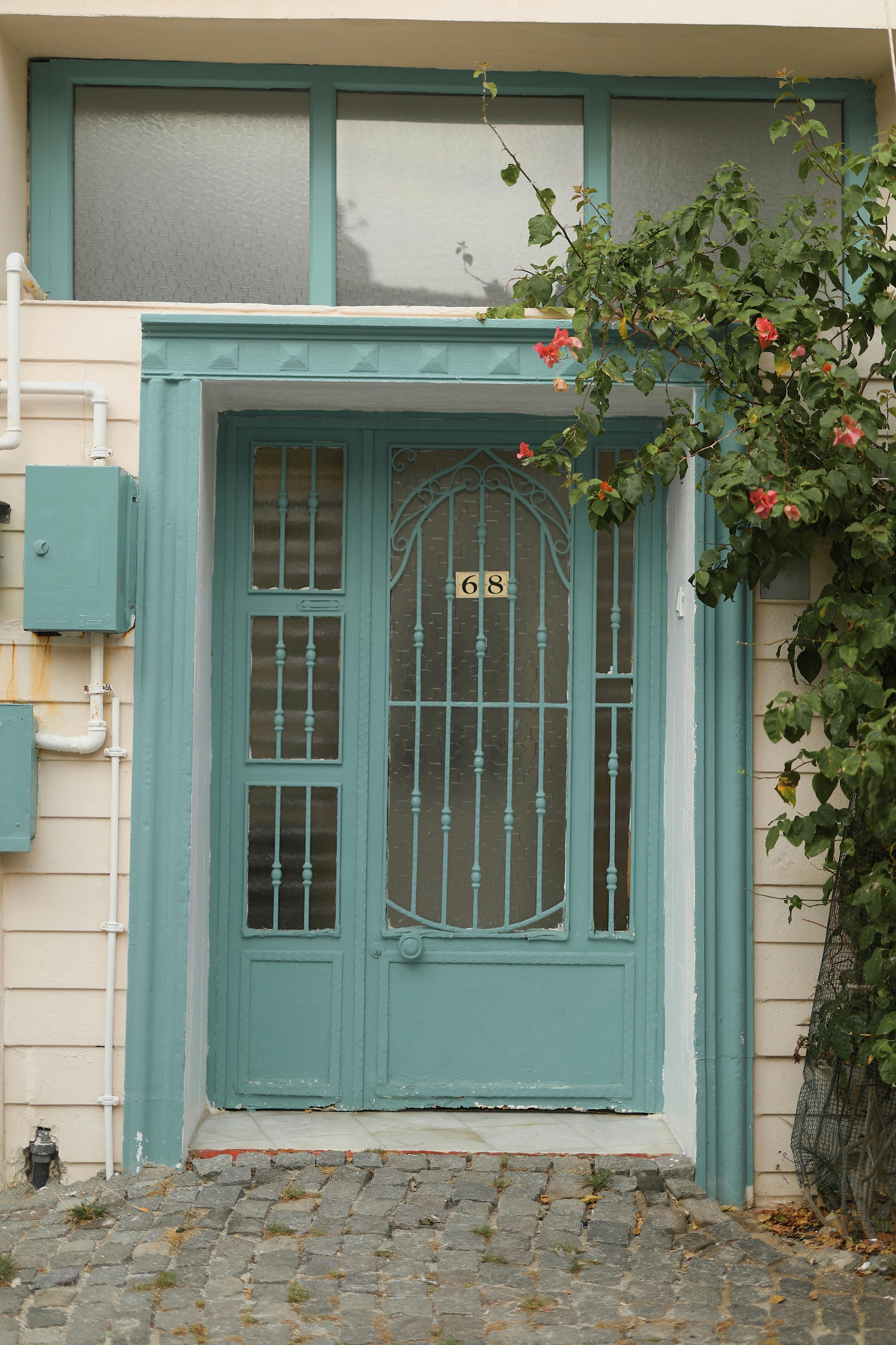 Elegant teal metal door with vibrant red flowers on a cobblestone path, inviting outdoors scene.