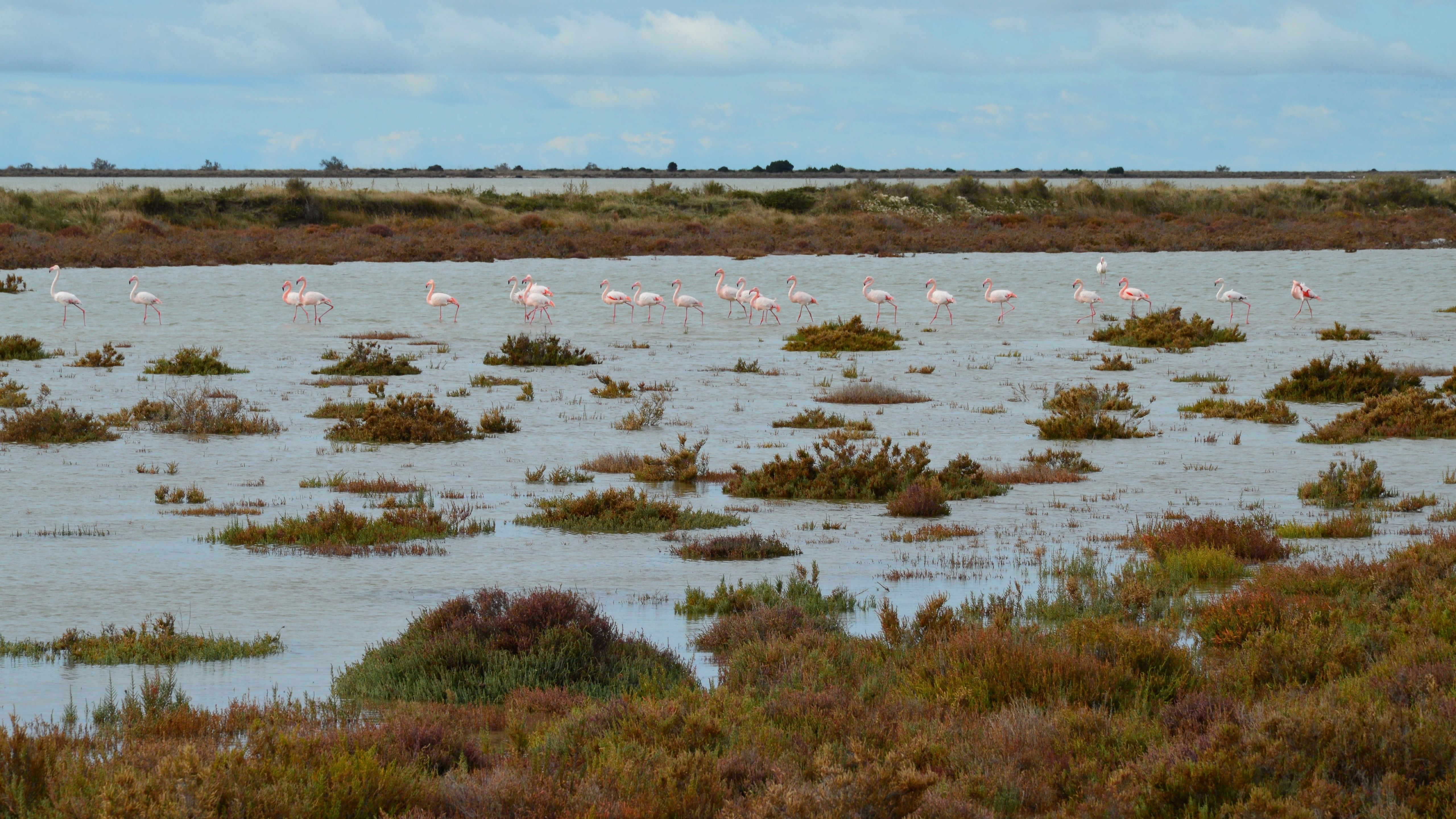 Zwin Nature Park, Knokke-Heist