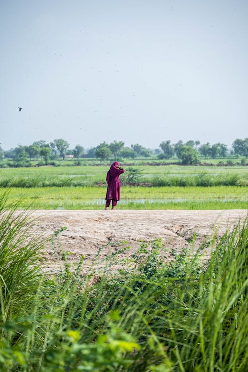 Δωρεάν στοκ φωτογραφιών με αγρόκτημα, γεωργία, γυναίκα