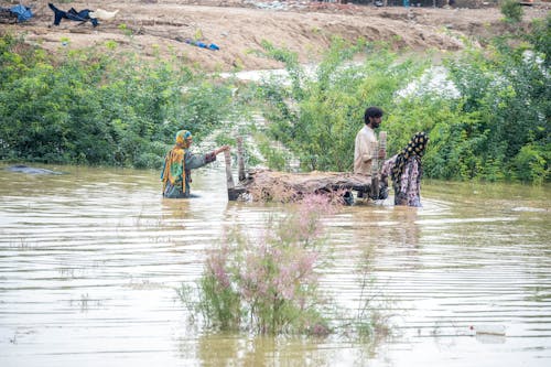 Fotos de stock gratuitas de inundaciones de pakistán de 2022